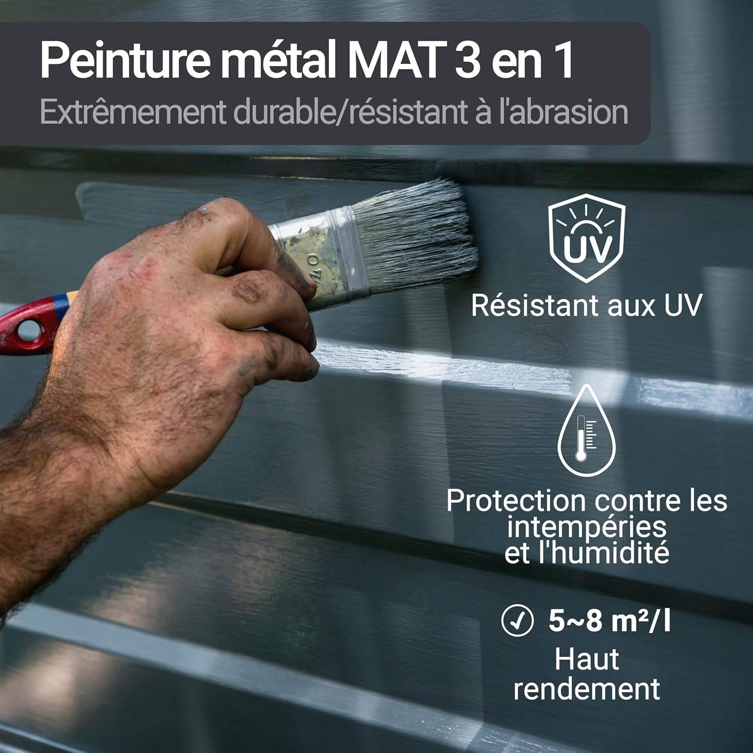 Detalle de WO-WE W909 Peinture métal mat 5L