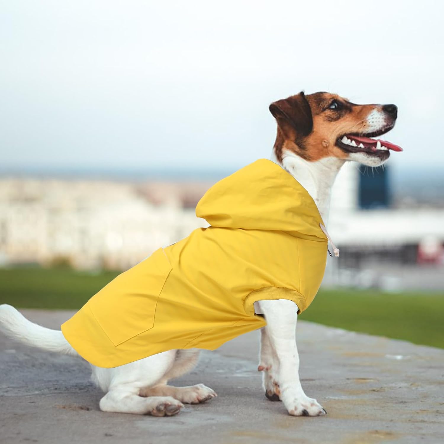 Thumbnail 6 de Dog raincoat waterproof jacket with hood, zipper & back pocket (Yellow) – Size S