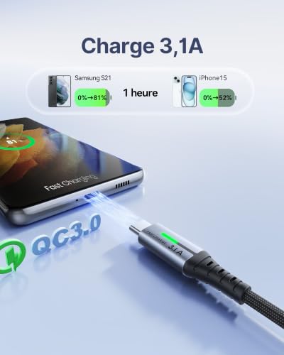 Detalle de Câble USB-C INIU Charge Rapide 3,1A – Lot de 3 (2m + 2m + 0,5m)