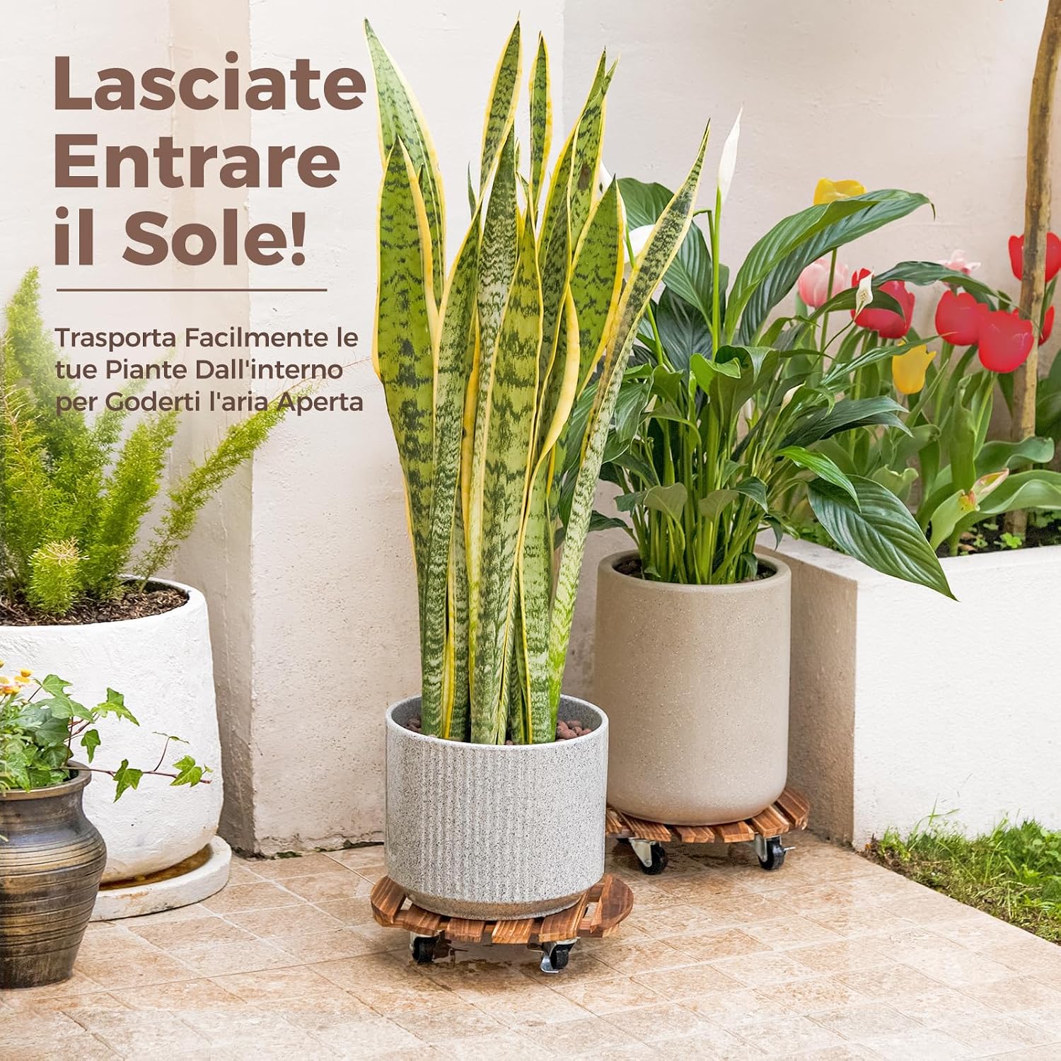 Thumbnail 6 de Bamworld Porta Piante da Interno con Ruote – Set di 2 Basi Rotonde in Legno per Vasi Grandi