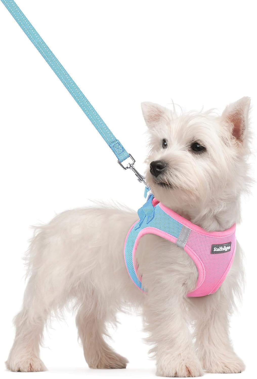 Detalle de rabbitgoo MJGBDTZCG-SPKSBCS-DADE Small Step-In Dog Harness and Leash Set, Reflective Mesh, Blue & Light Pink