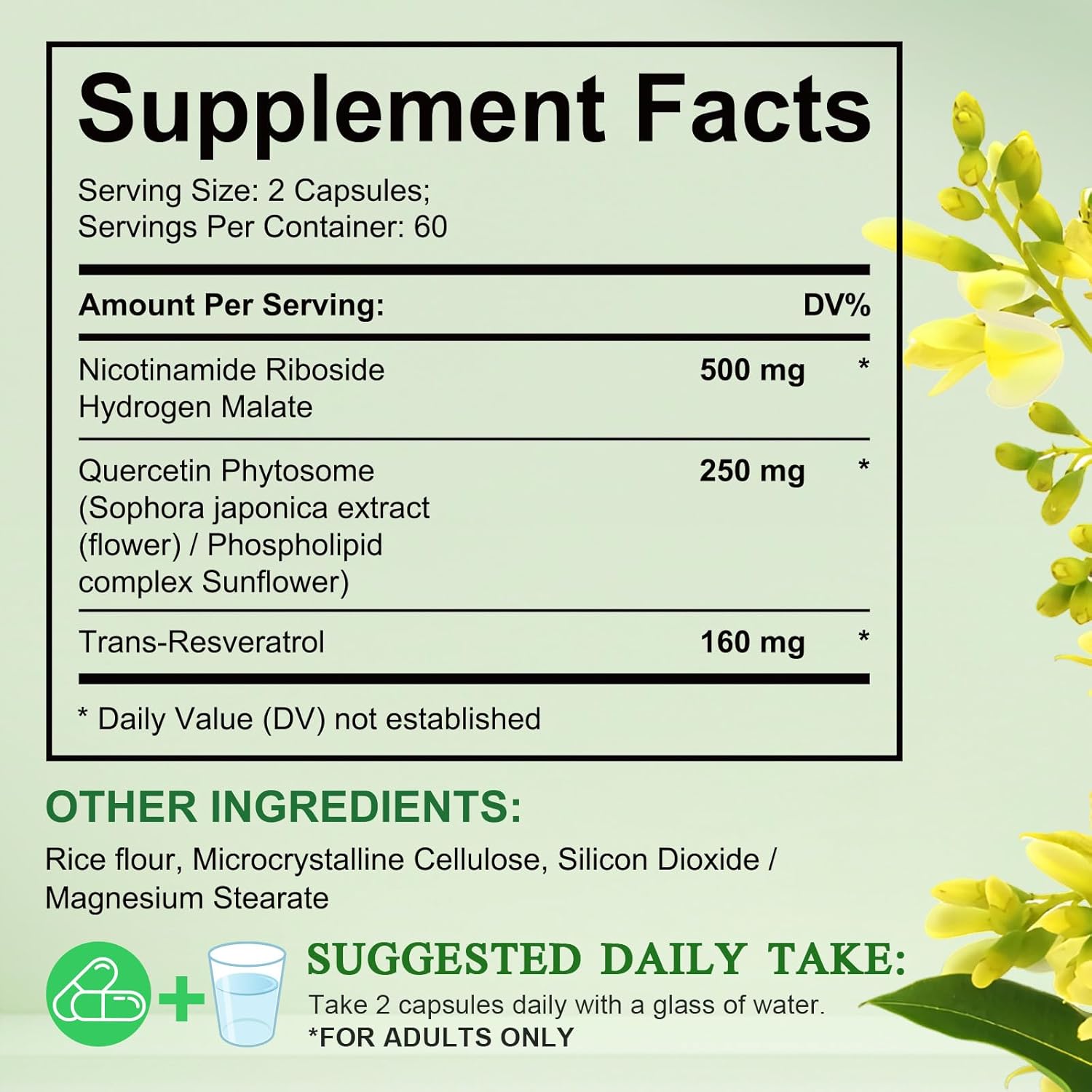 Detalle 2 de Liposomale NAD+ Kapseln 910 mg – NAD Booster 💊