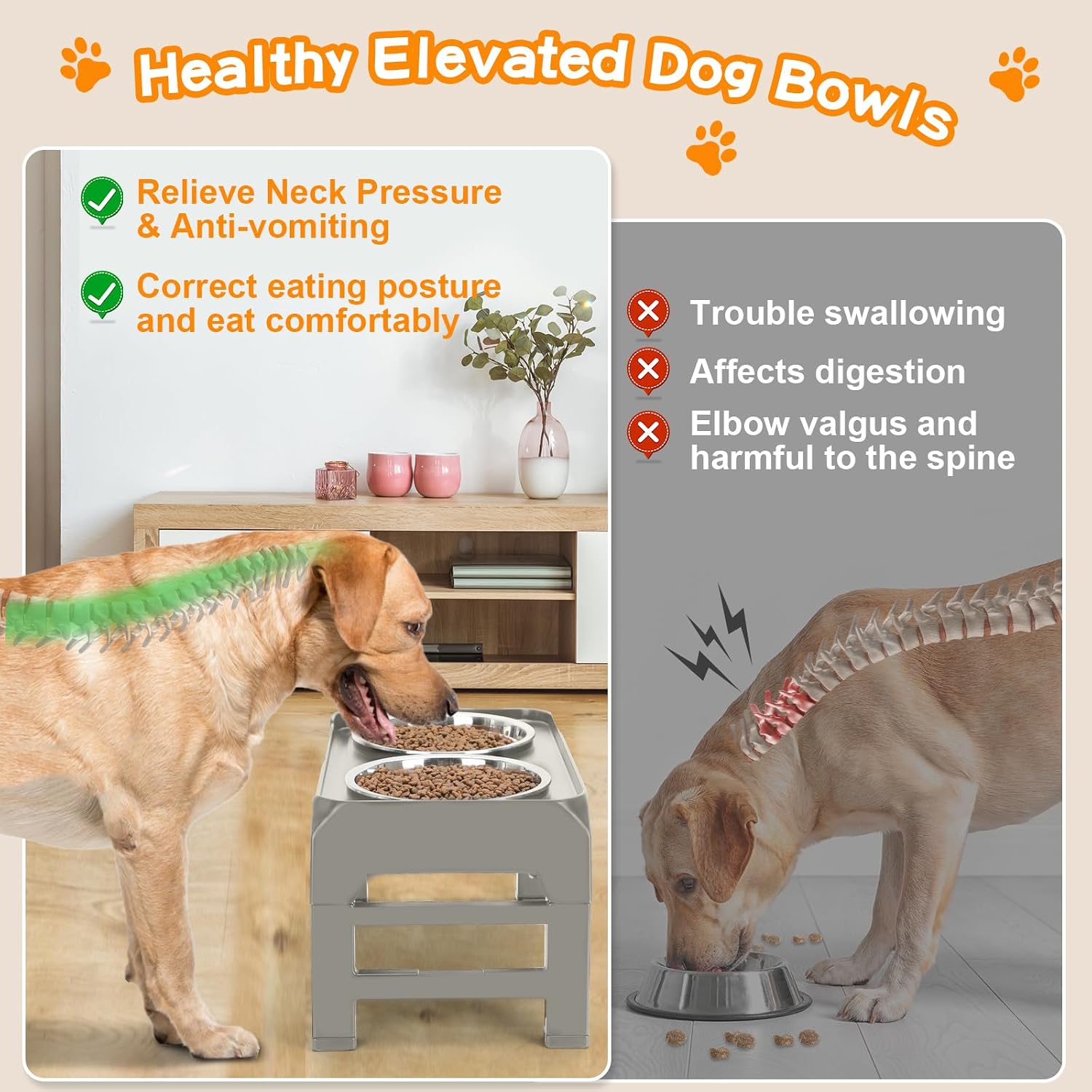 Detalle de Raised Dog Bowl Stand, 50 oz