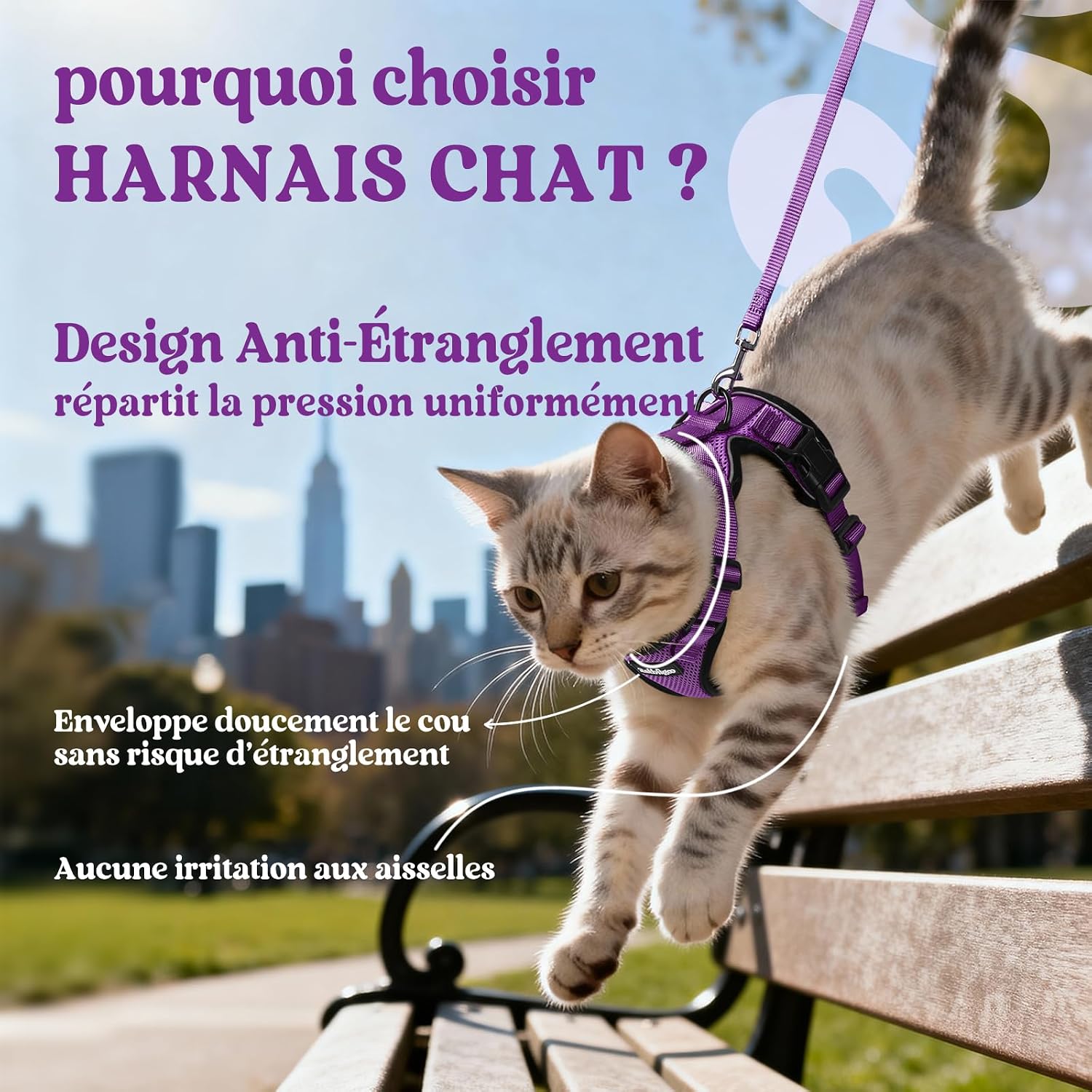 Thumbnail 2 de rabbitgoo Harnais et laisse pour chat violet taille XS : harnais souple réglable anti-fugue