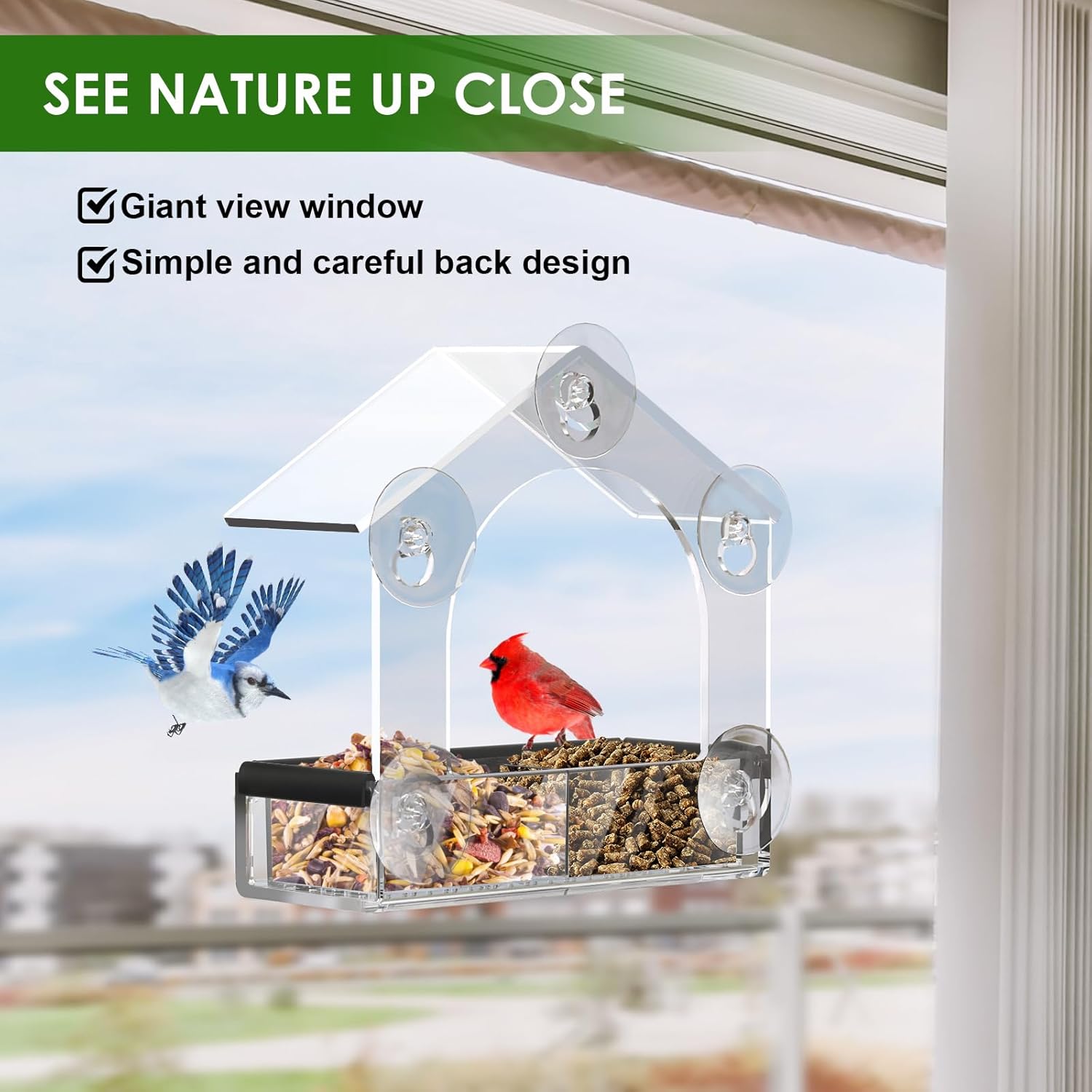 Detalle de LIANGPIN Clear Window Bird Feeder with 5 Strong Suction Cups (Acrylic, removable tray)