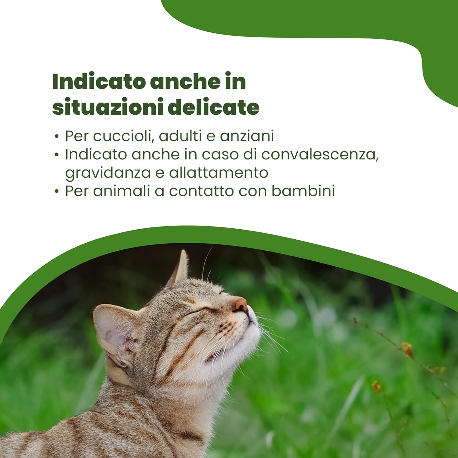 Thumbnail 5 de CAMON Spot-On Protection Gatto con olio di neem e aminoacidi, 5 fiale da 2 ml