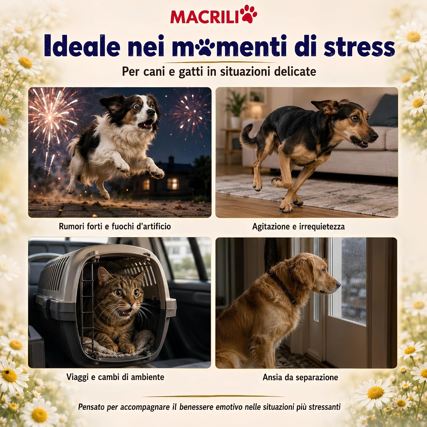 Detalle de MACRILI Calmante Cane e Gatto 210 Compresse Aroma Pollo: supporto calmante per cani e gatti nervosi
