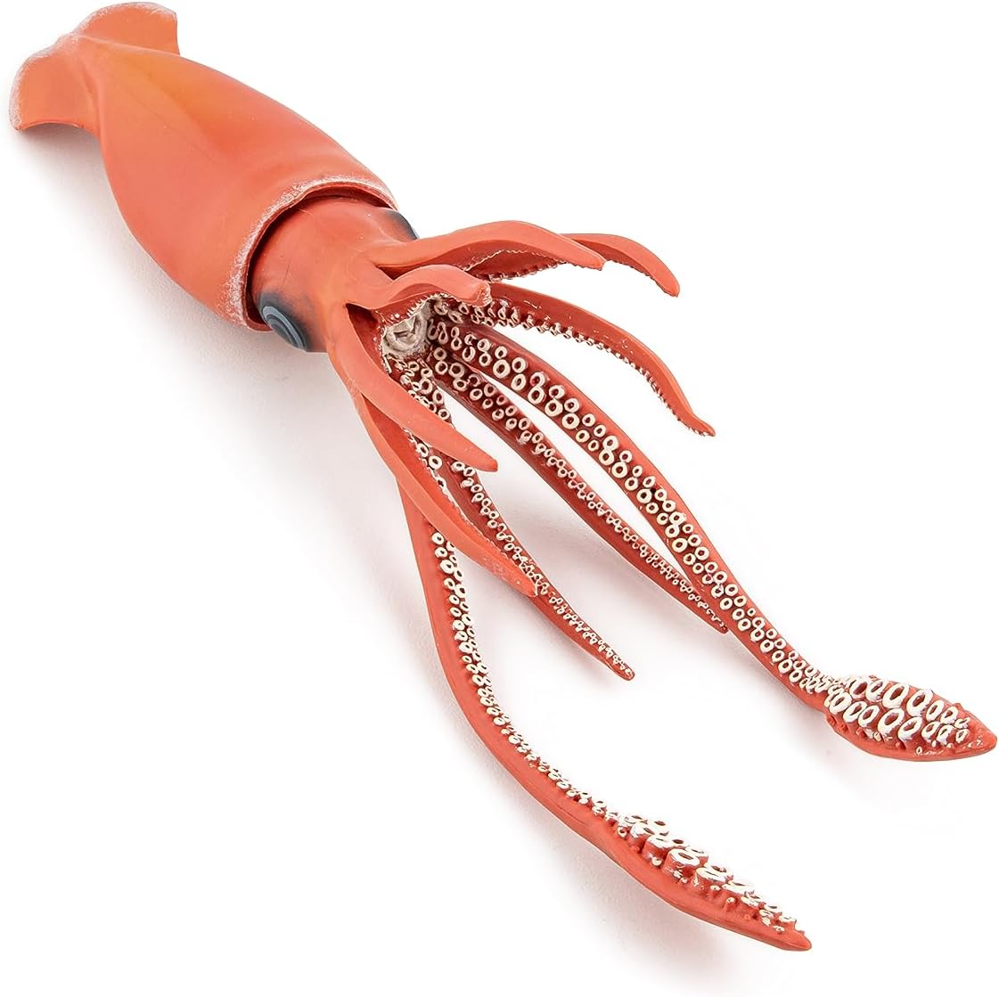 Thumbnail 3 de Papo Calamaro Gigante realistico (collezione Universo Marino) – statuetta da gioco educativo, 3 anni+