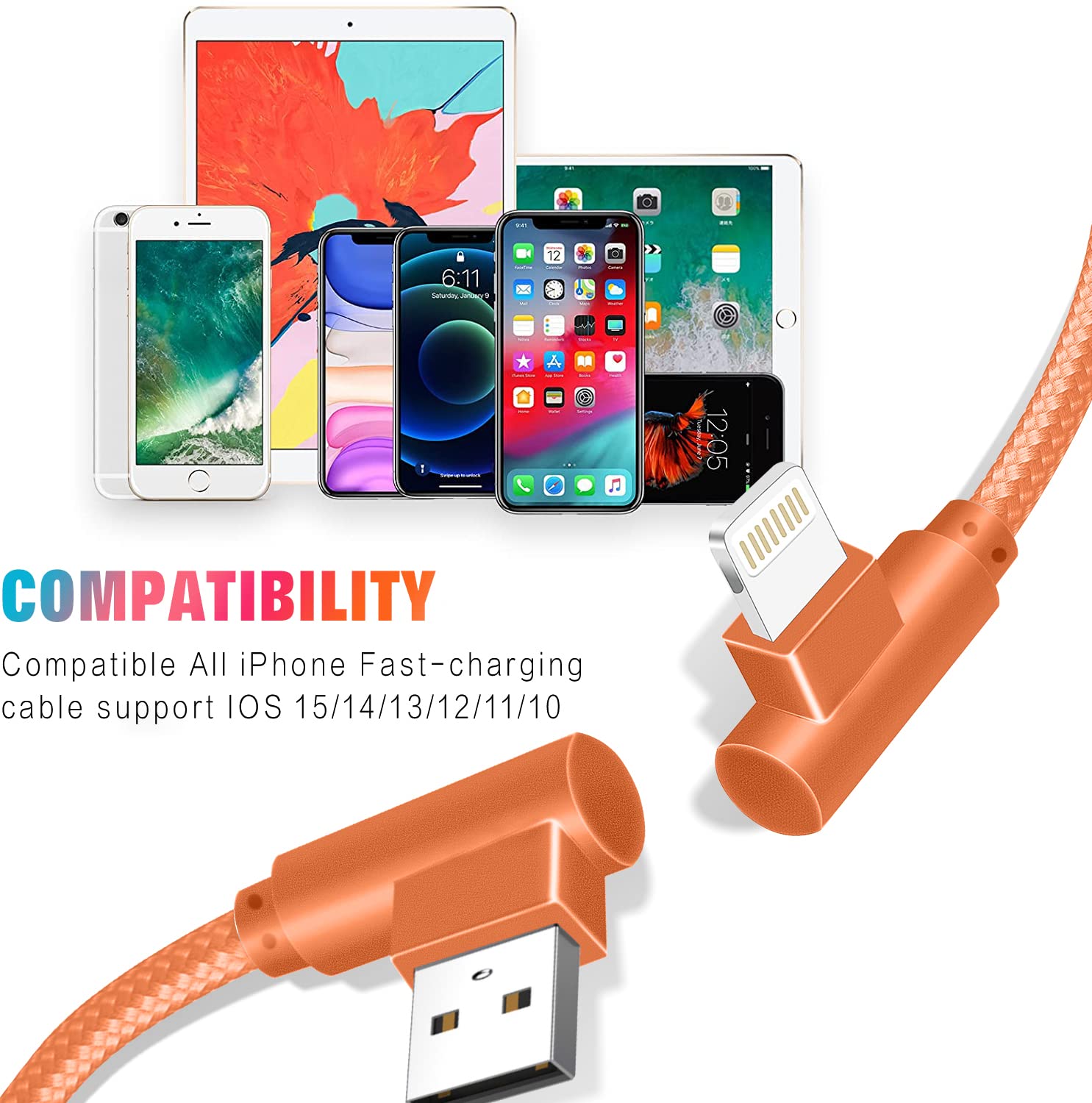 Detalle 2 de iPhone Lightning Cable 10FT