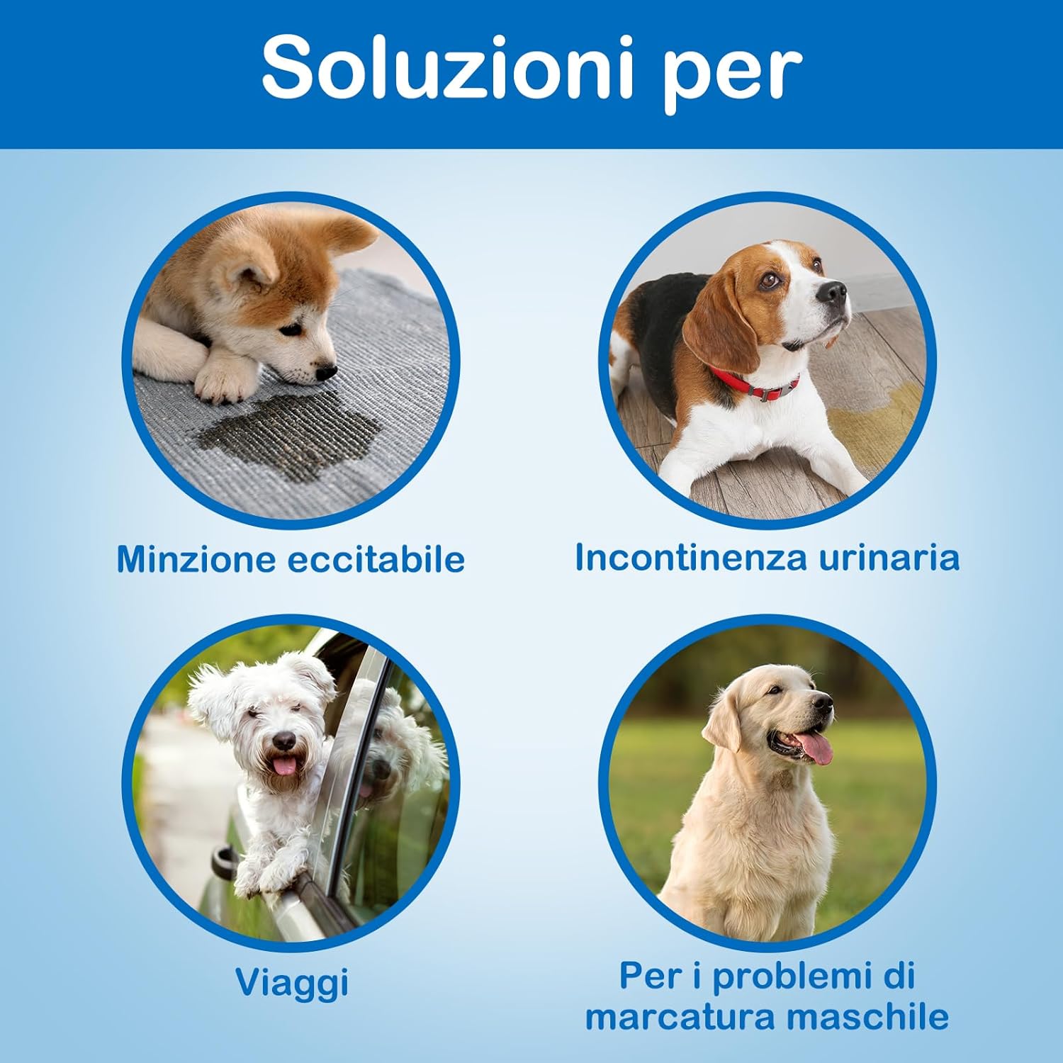 Thumbnail 3 de Flying Paws pannolini maschi S 20