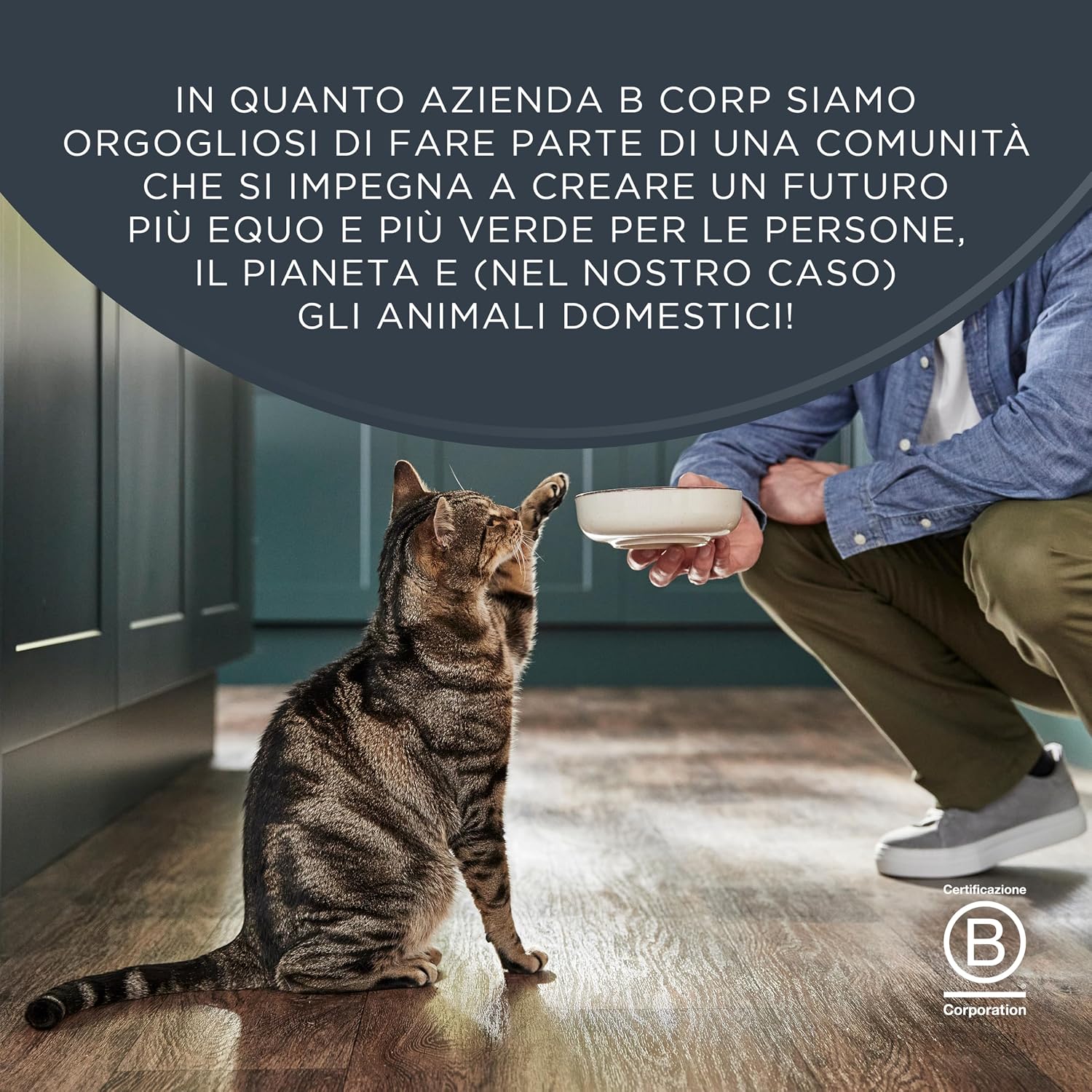 Thumbnail 6 de Encore Alimento Umido per Gatti 100% Naturale – Pollo assortito in brodo, confezione da 20 buste