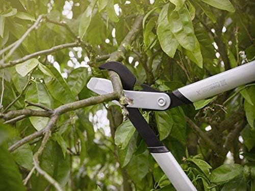 Thumbnail 8 de Fiskars LX99 Podadera PowerGear X 5,5 cm