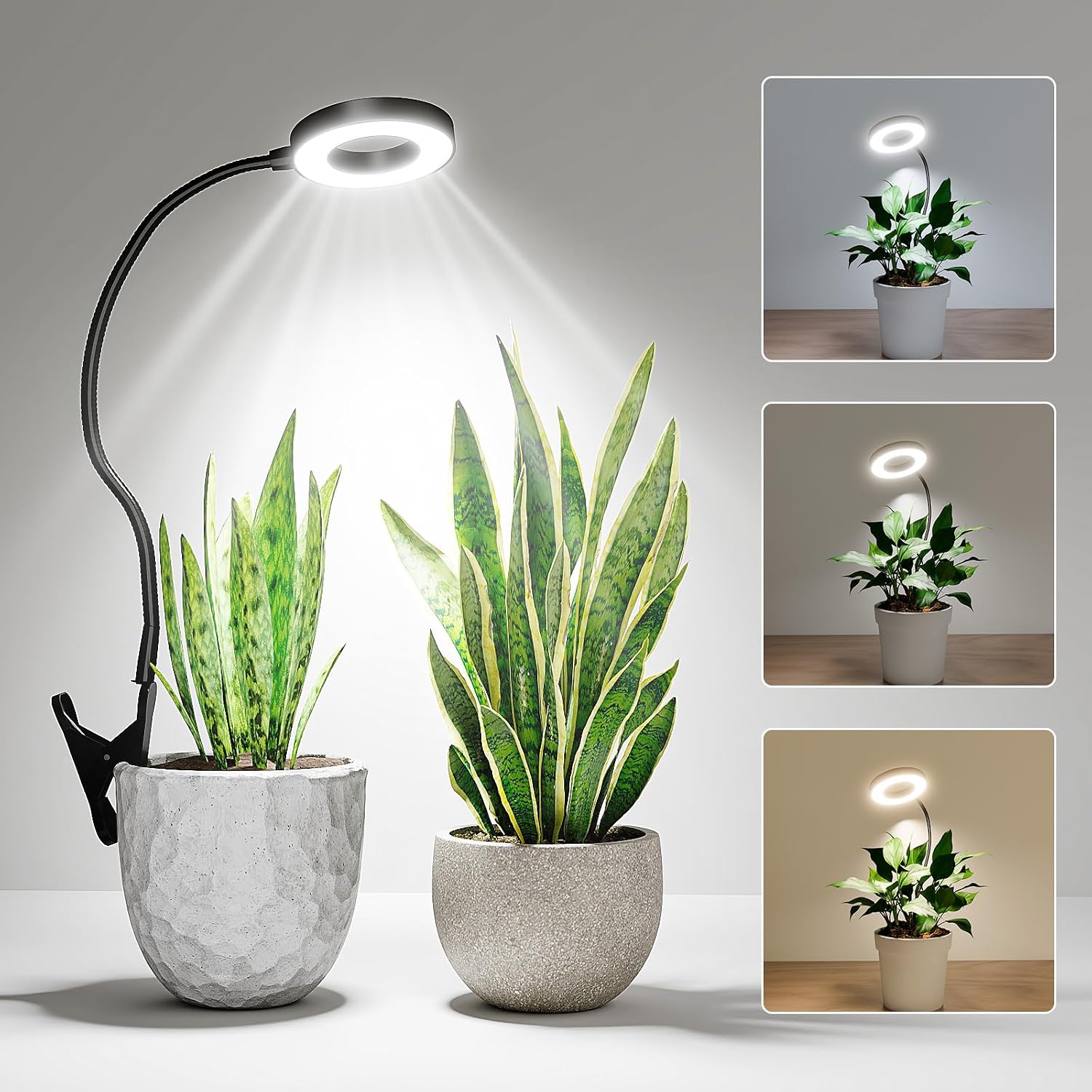 Detalle de Bamworld LED Grow Light con timer e intensità regolabile, luce a spettro completo per piante da interno