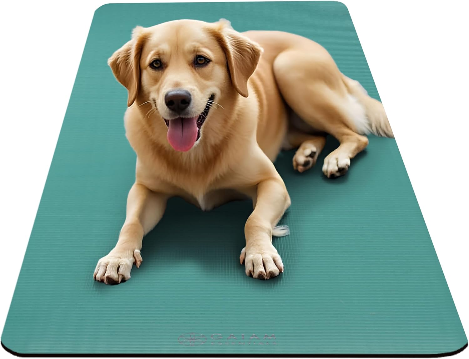 Thumbnail 6 de Gaiam Essentials 10mm Yoga Mat with Carrier Strap ๐งโ