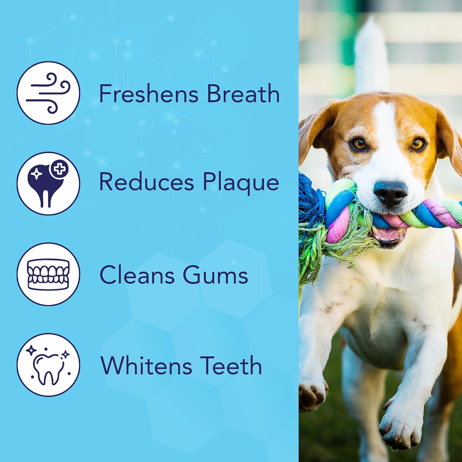 Detalle 2 de NOVEHA 50PCs Pets Dental Finger Wipes 50pcs