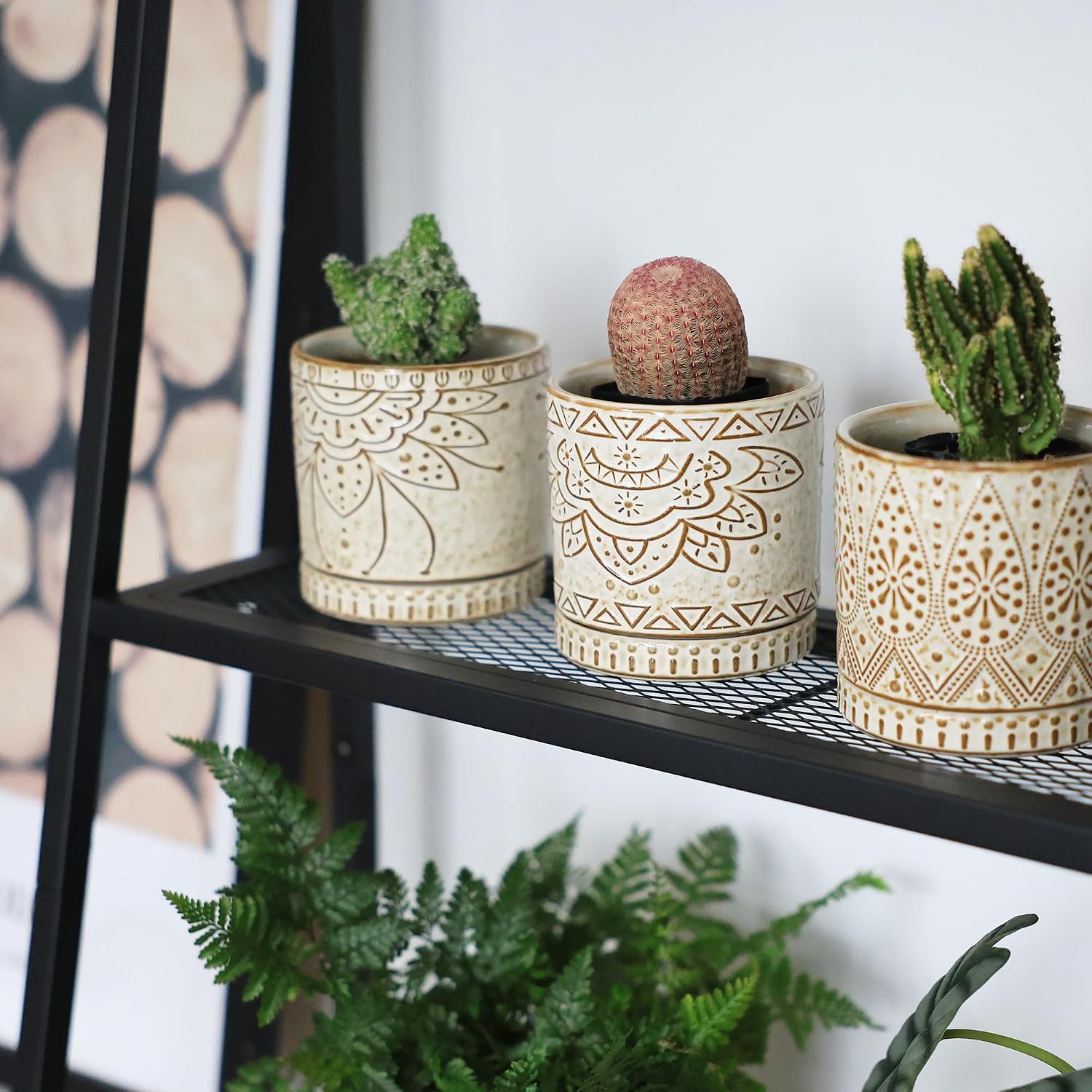 Detalle de Gepege 4-Inch Ceramic Succulent Pots, Set of 4 with Drainage Holes and Saucers