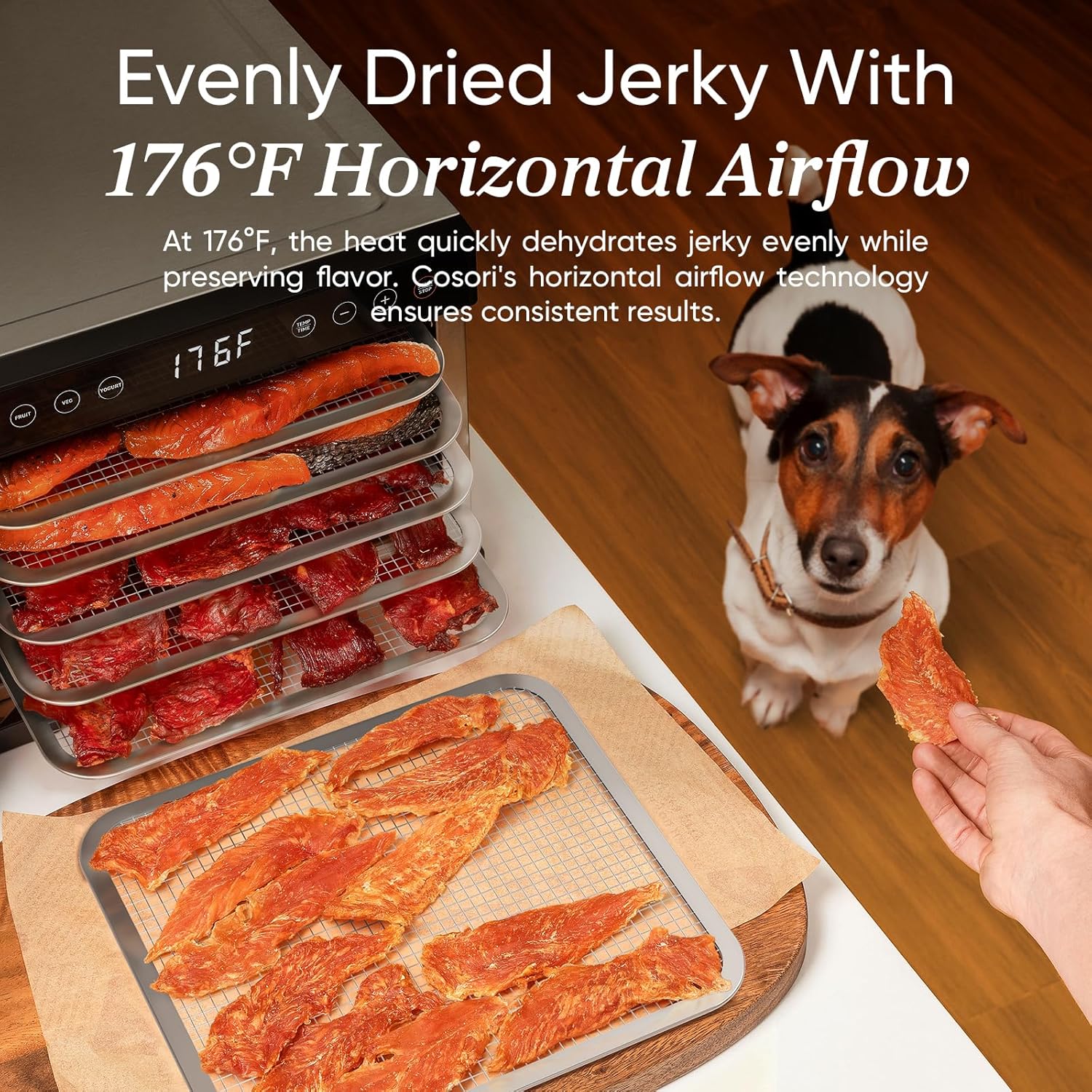 Thumbnail 2 de COSORI Food Dehydrator 5-Tray 🍖