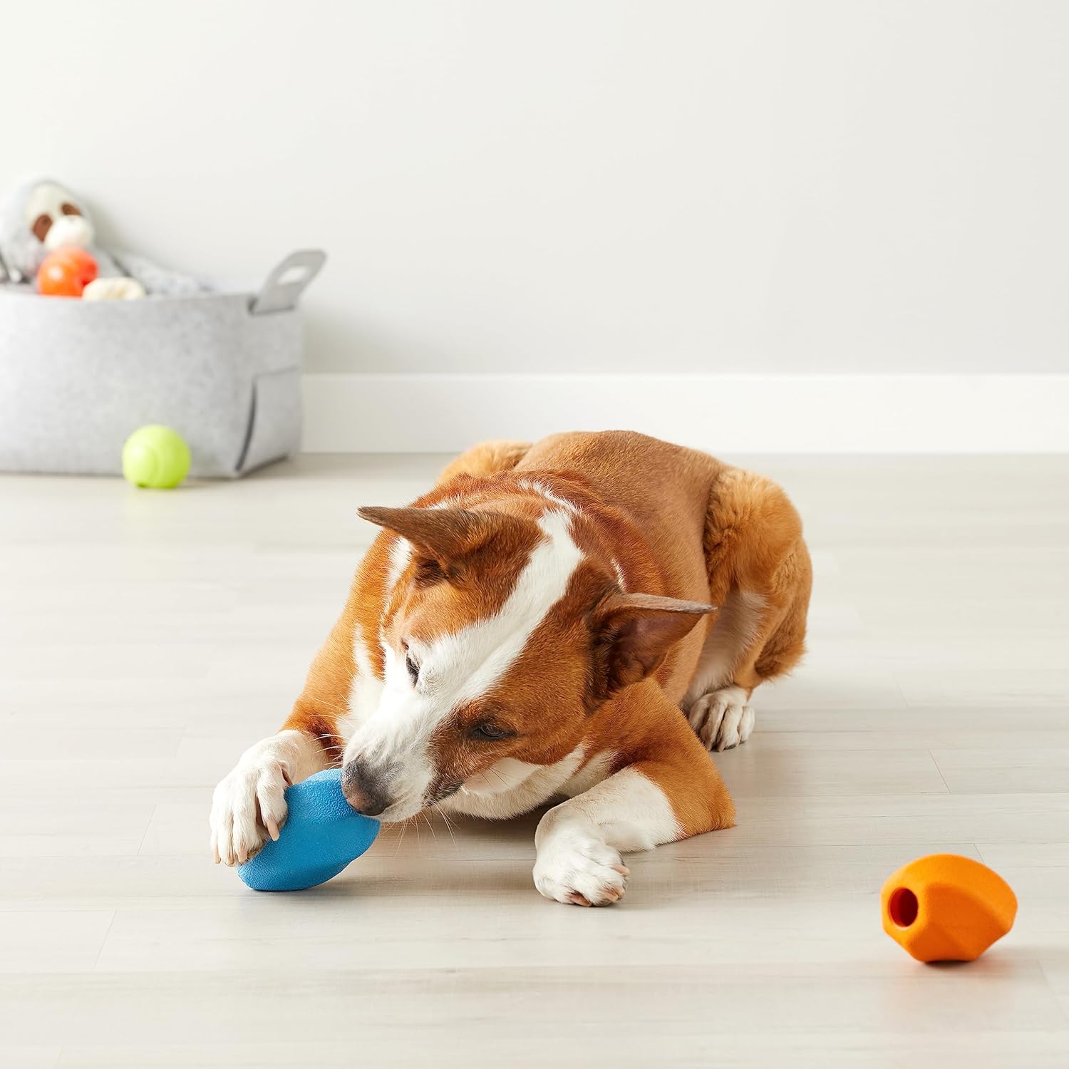 Detalle de Amazon Basics Dog Toys: Treat-Dispensing Medium Rubber Pack of 2 (Multicolour)
