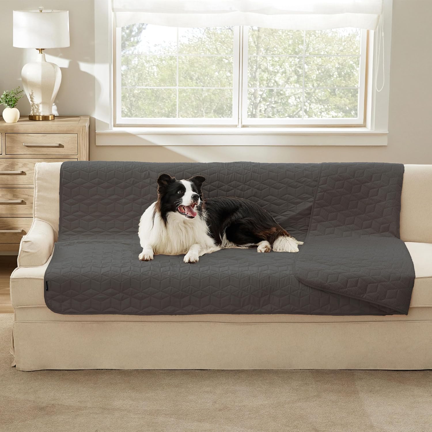 Thumbnail 6 de BEDSURE Hundedecke 132x208 cm 🛋