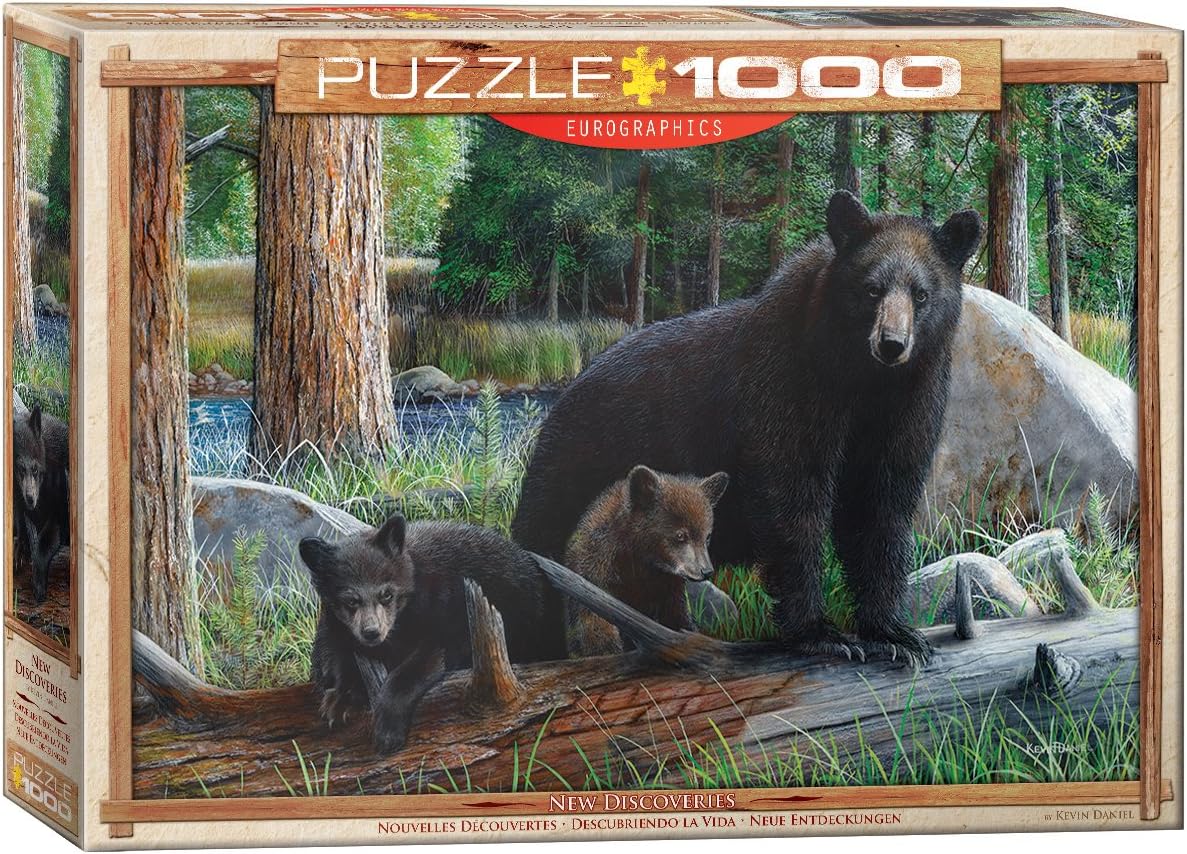 Detalle de EuroGraphics Puzzle „Neue Entdeckungen von Kevin Daniel“ (1000 Teile) – smart-cut mit mattiertem Finish