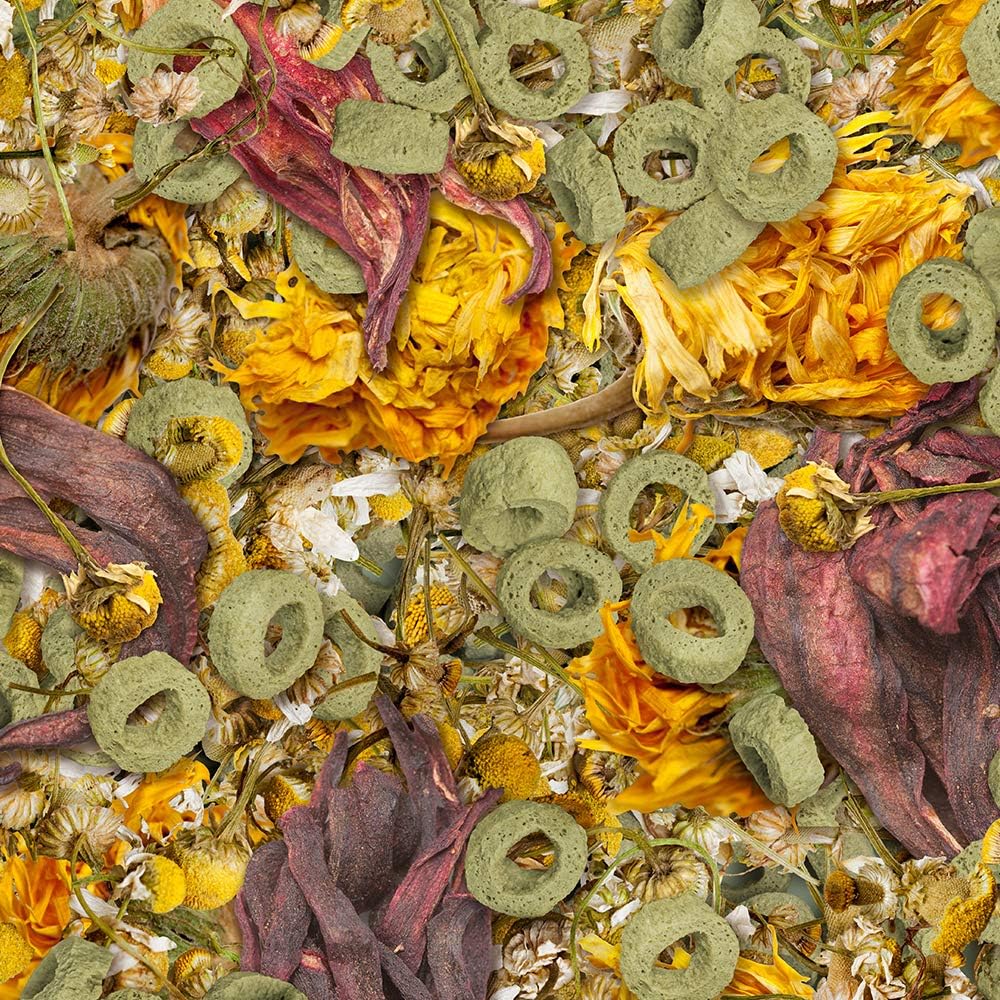 Thumbnail 1 de Sera Reptil Flowers-n-Loops 1000 ml