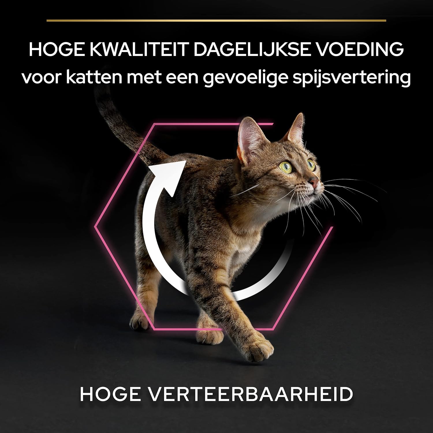 Thumbnail 6 de PURINA PRO PLAN Cat Delicate Adult OPTIRENAL Trockenfutter mit Truthahn | 10 kg