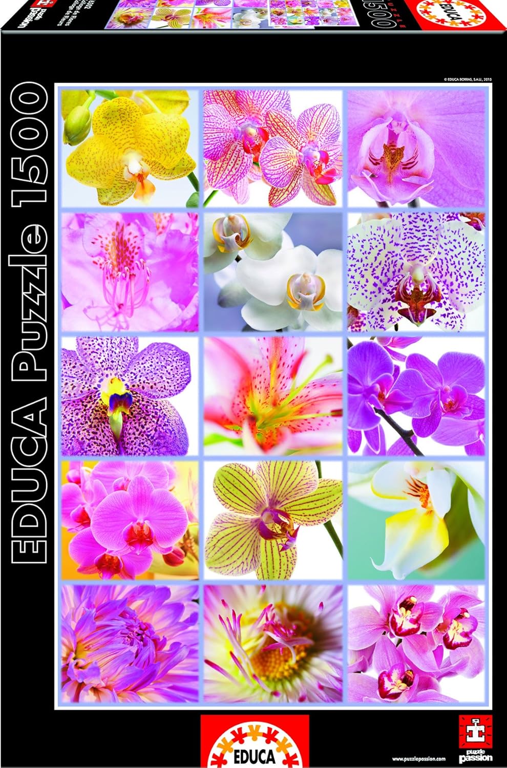 Thumbnail 6 de Puzzle Educa 1500 pièces pour adultes « Le Monde » (carte politique) dès 14 ans