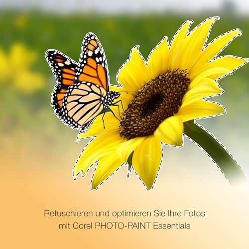 Thumbnail 3 de CorelDRAW Essentials 2024 for Graphic Design | 1 User