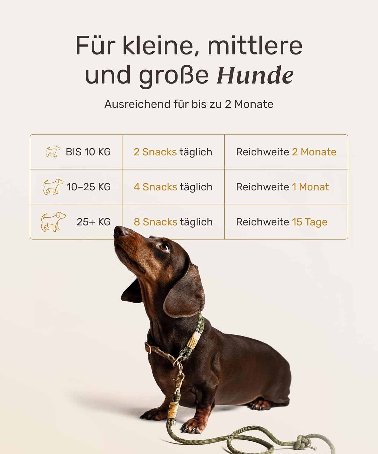 Detalle 2 de mammaly Immu Push 350 g Immunsystem-Leckerli đ
