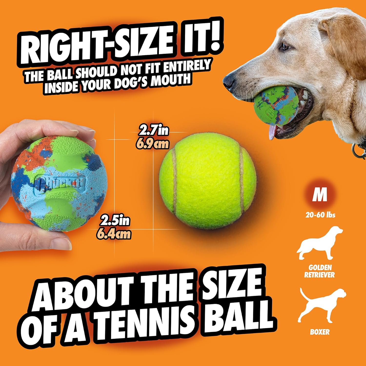 Detalle de Chuckit! Edizione limitata Dog Ball Eco Fetch Day — Ultra Ball Medio (6,3 cm) in gomma riciclata