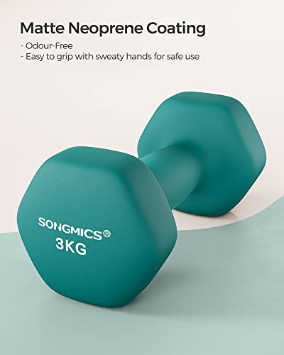 Detalle de SONGMICS Set of 2 Hex Dumbbells, 2 x 3 kg, PVC Coating