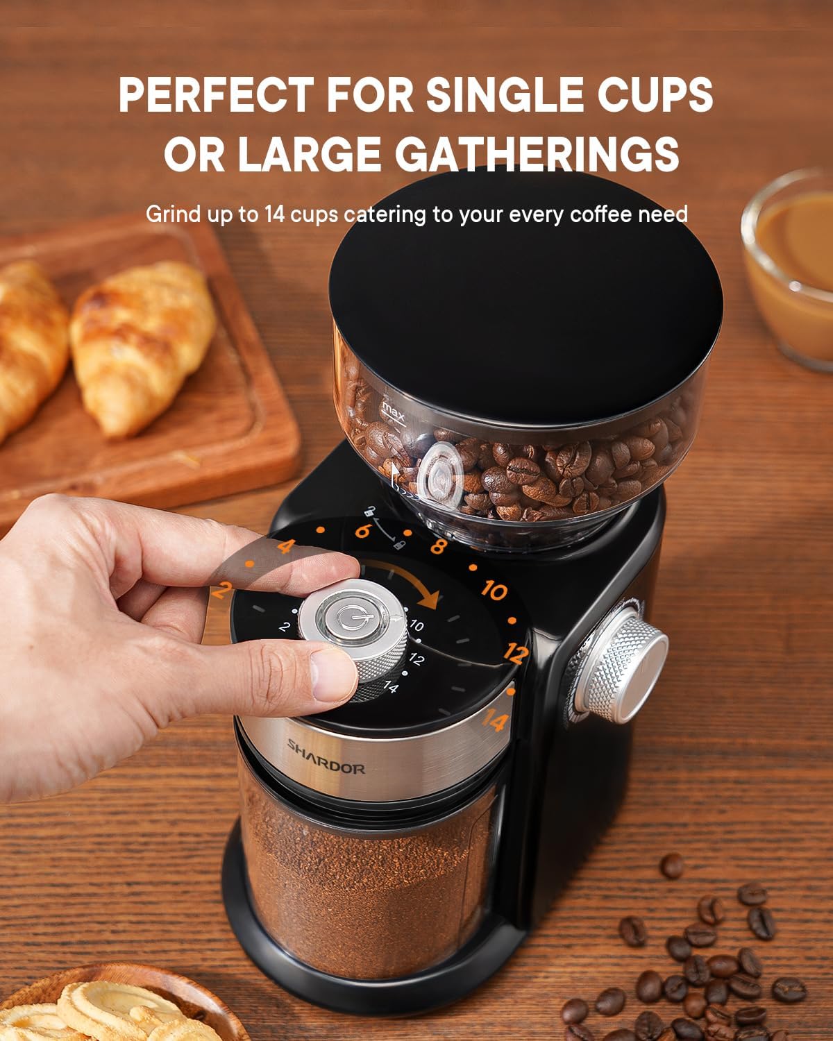 Detalle 2 de SHARDOR Electric Burr Grinder 14-Cup