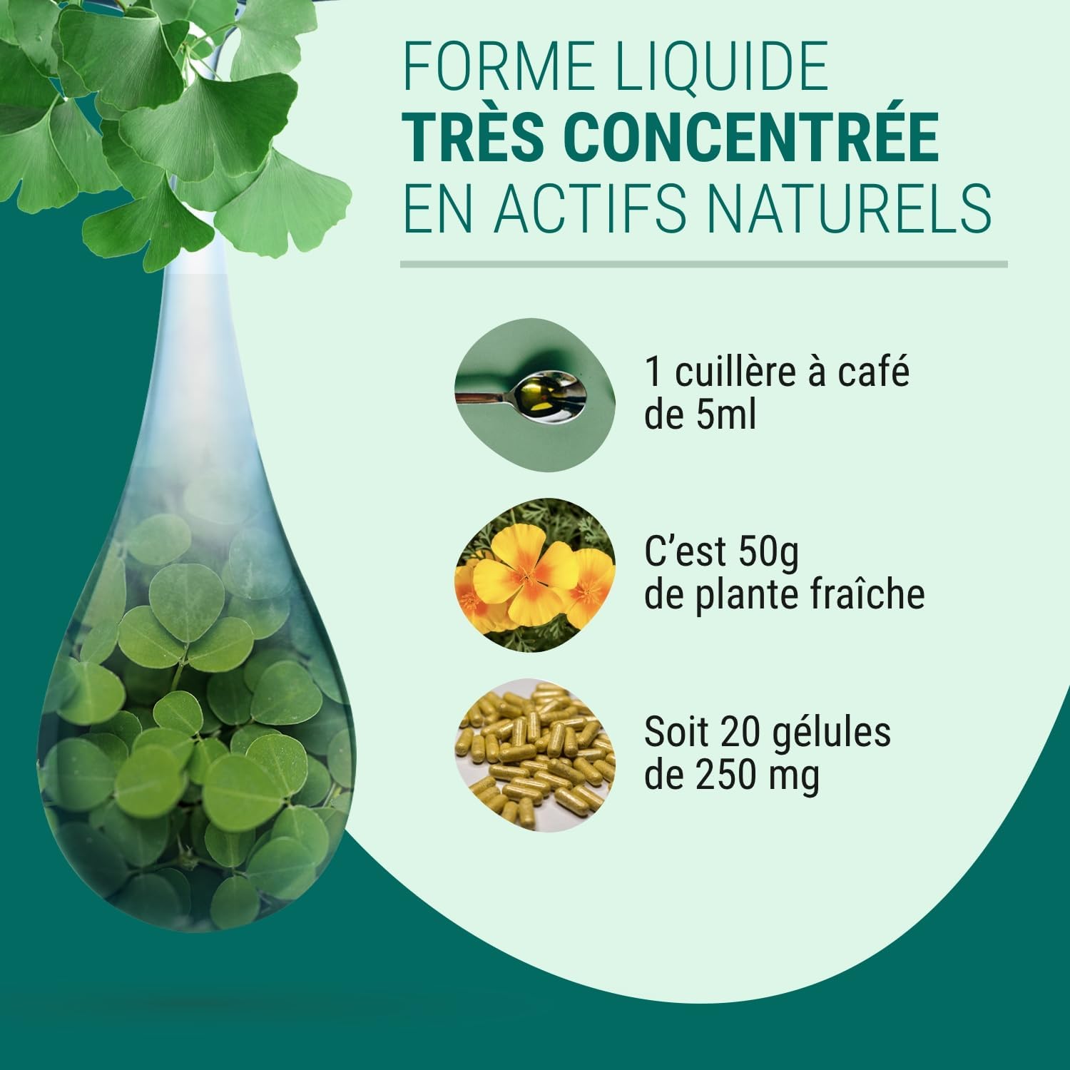 Thumbnail 3 de Naturathéra HERBAFLUID DÉTOX – Complément alimentaire détox fluide, 125 ml, Vegan et fabriqué en France