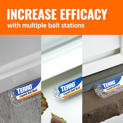 Thumbnail 8 de Terro Ant Killer Bait Stations T300B — Liquid Ant Bait for Indoor Control (12 Count)