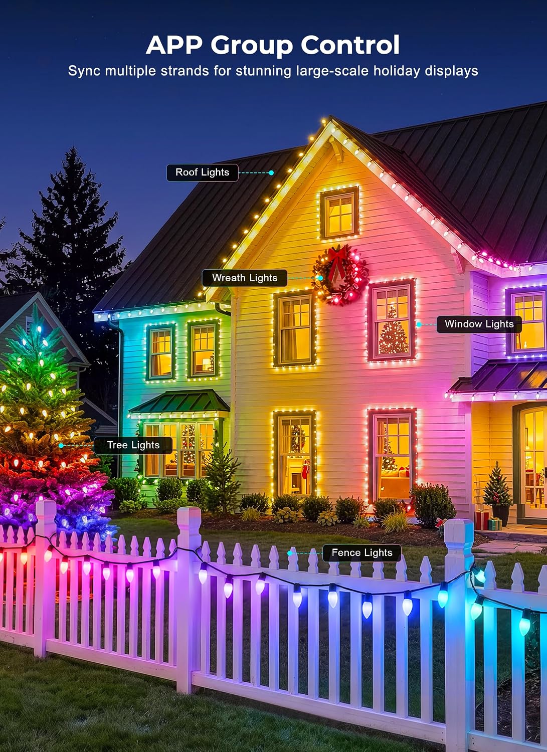 Detalle 1 de C9 Christmas Lights, 100 LEDs
