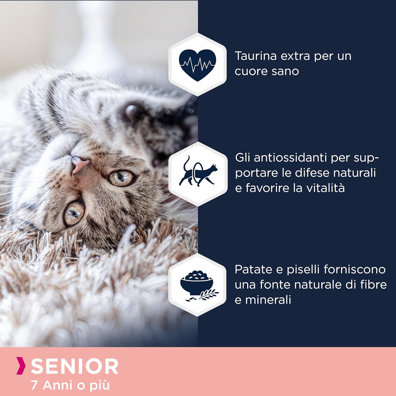 Thumbnail 3 de Eukanuba Grain Free cibo secco per gatti anziani al salmone, senza cereali, 2 kg