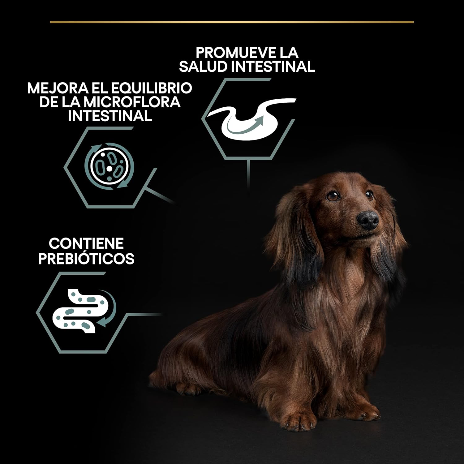 Thumbnail 1 de Purina Pro Plan Small Digestion, Pienso para Perro Mini, 4x3kg