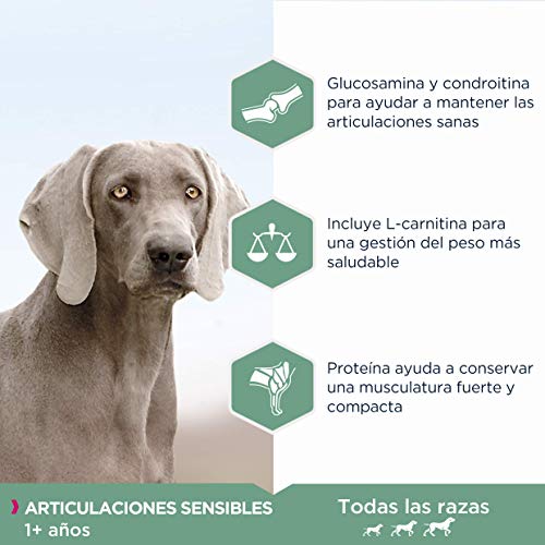 Thumbnail 3 de Eukanuba Daily Care para perros adultos con articulaciones sensibles (12 kg)