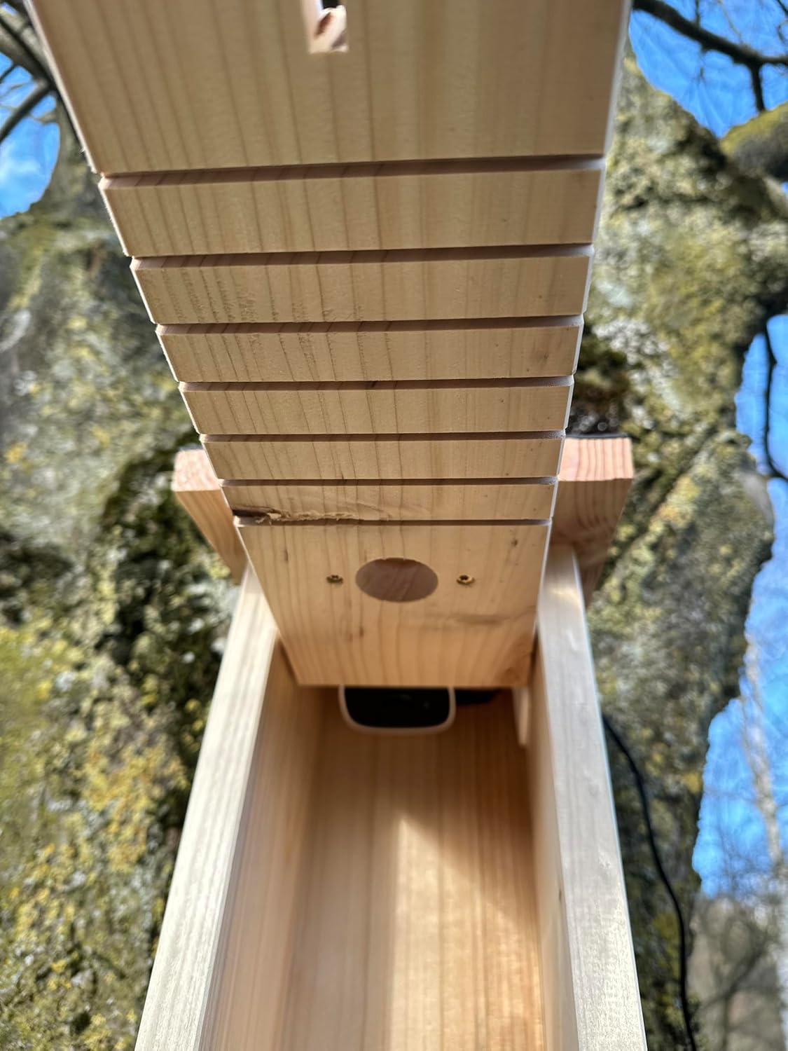 Detalle 2 de Hochwertiger Nistkasten inklusive Kamera