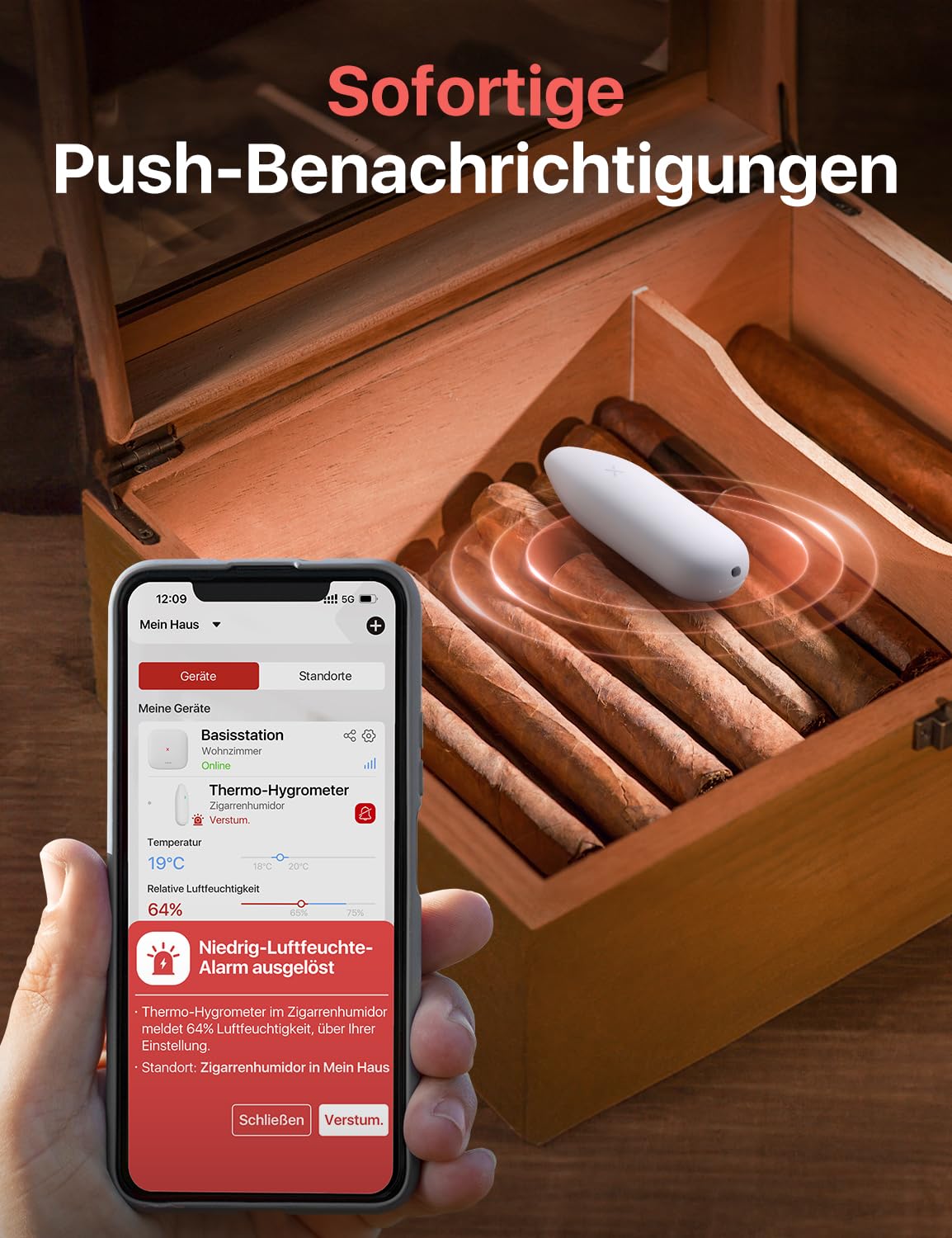 Detalle 1 de X-Sense SBS50 WLAN Hygrometer mit 3 Sensoren 🌡
