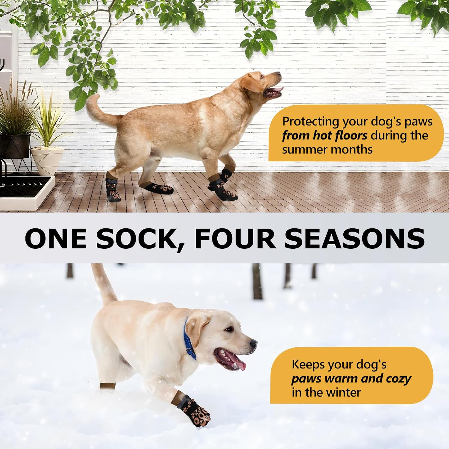 Thumbnail 6 de Dog Paw Socks, XS