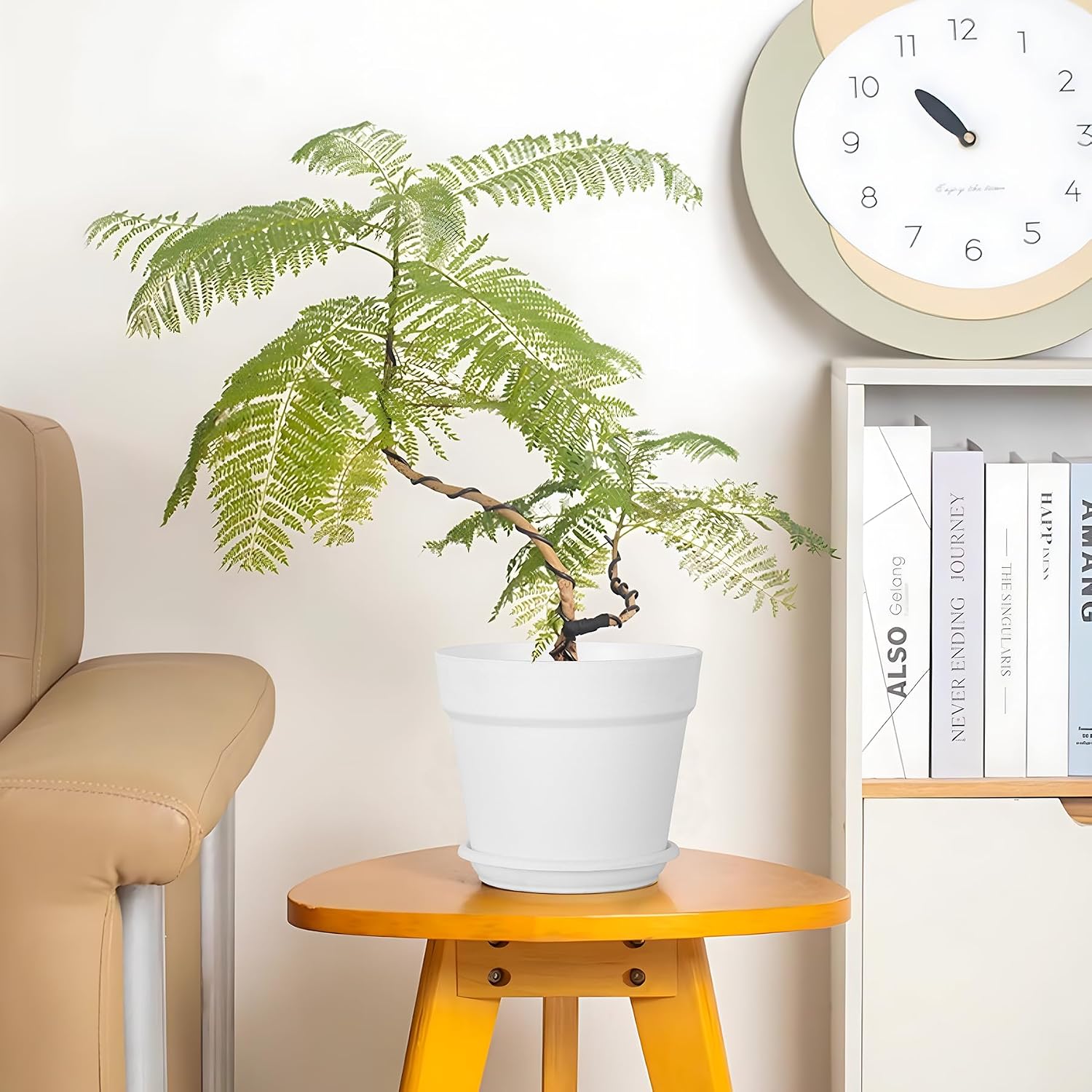 Detalle de Solvant: Set di 6 vasi per piante da esterno con sottobicchieri e do entrati, 16 cm, bianco