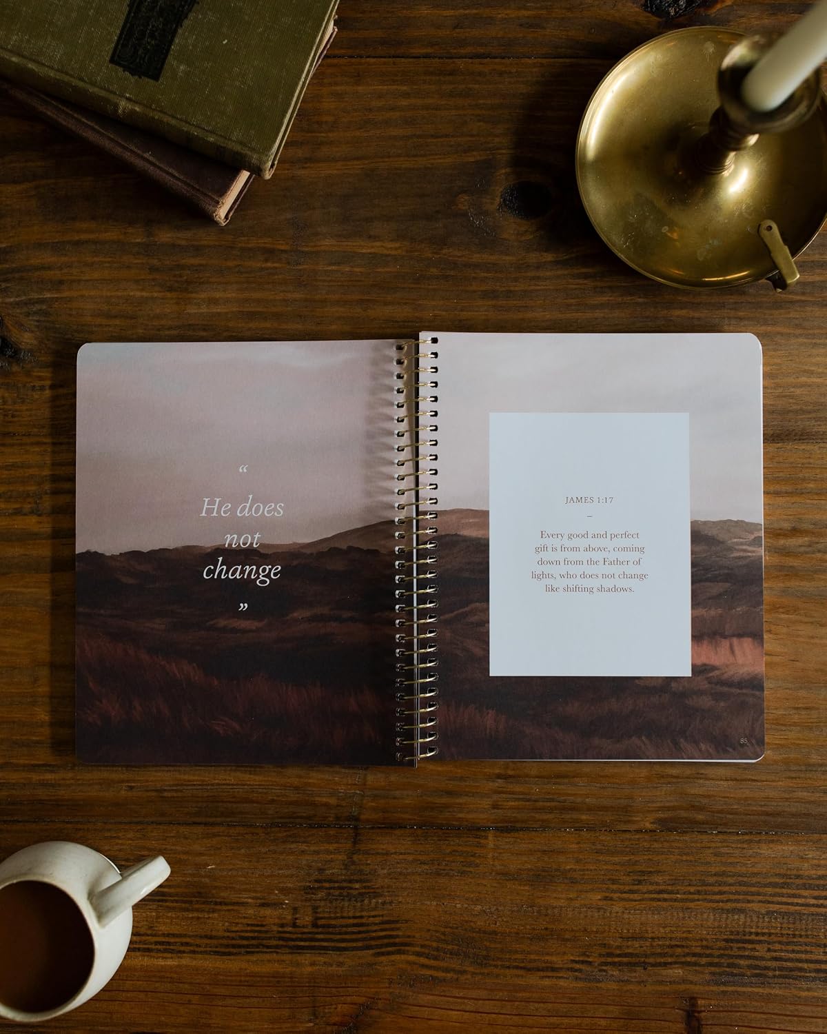Detalle de The Daily Grace Co. James | The Steadfast Life Bible Study, 7-Week Spiral-Bound