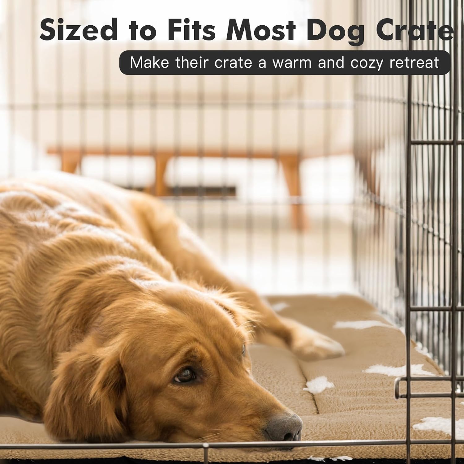 Detalle de Mora Pets Dog Crate Pad, Washable Non-Skid Mat, 24 x 18 Inches