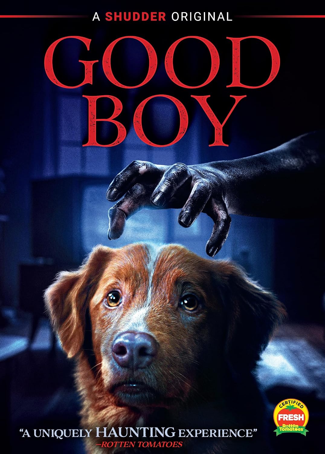 Detalle 1 de Good Boy SHU00589DVD DVD, Widescreen Horror Movie with Bonus Features