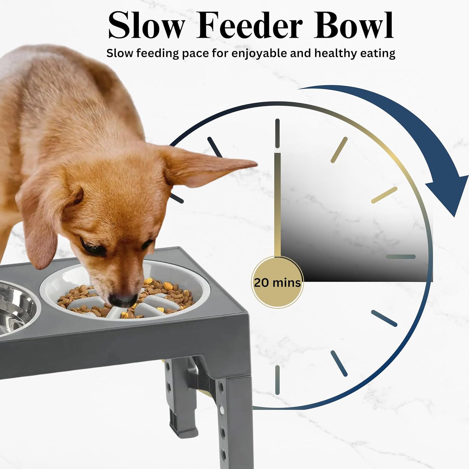 Thumbnail 3 de H&A Petcare Raised Dog Bowl 3‑in‑1 elevated feeder