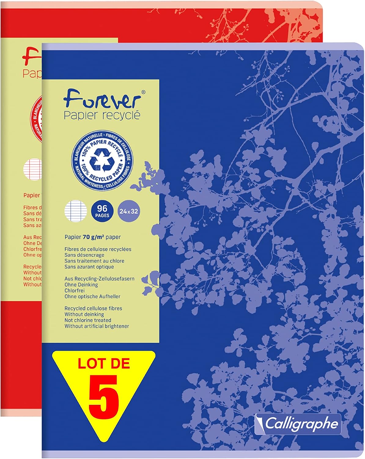 Calligraphe 17493AMZC – Lot de 5 Cahiers Forever 24x32 cm, 96 pages, papier recyclé
