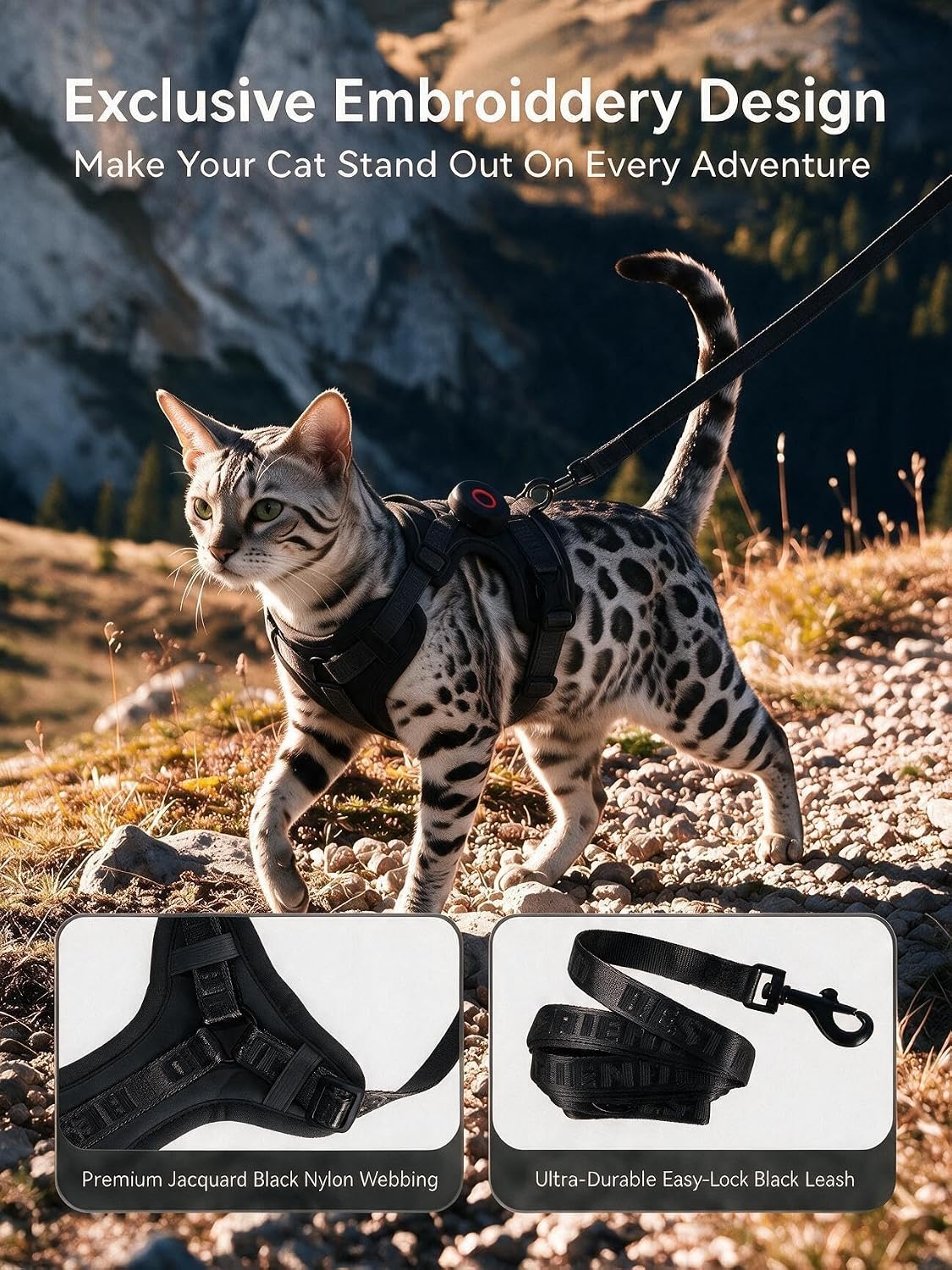 Thumbnail 1 de Cat Harness and Leash Set, Large