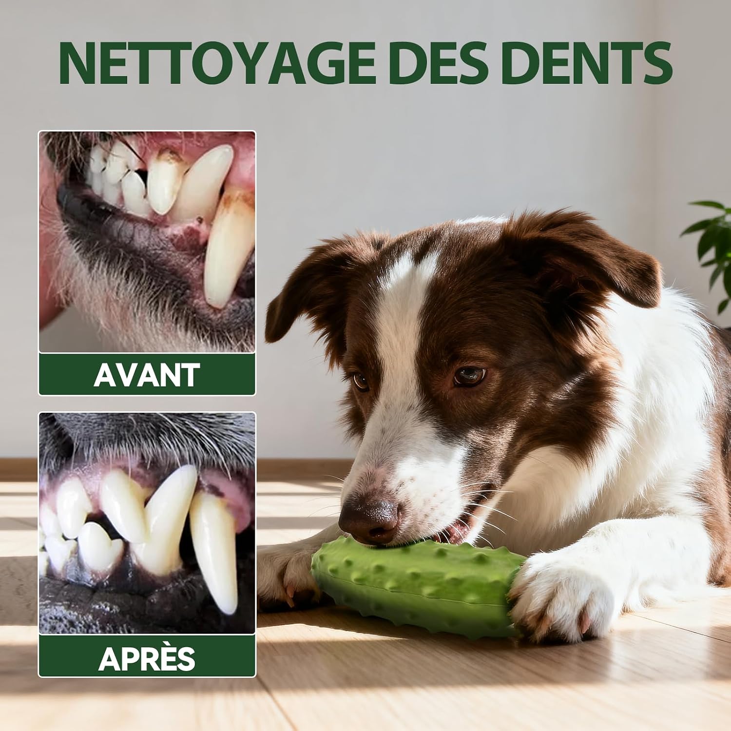 Detalle de LIFLIX Lot de 2 Jouets à couineur pour Chien – Forme concombre, caoutchouc résistant pour mâcher, taille moyenne à grande