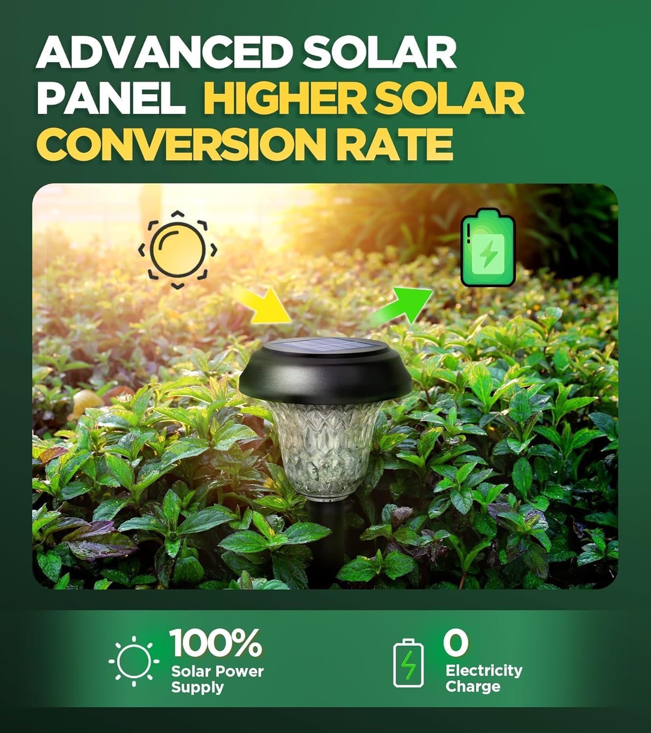 Detalle 2 de AUVERI LIFE Solar Garden Lights 10-Pack